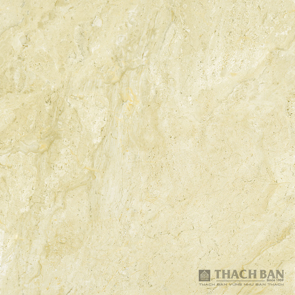 GẠCH GRANITE PHỦ MEN KHÔ - DIGIART MPF 052