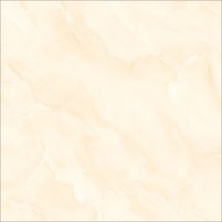 E6007
