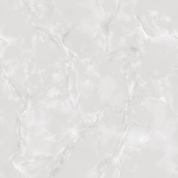 E5001