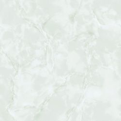 E5002