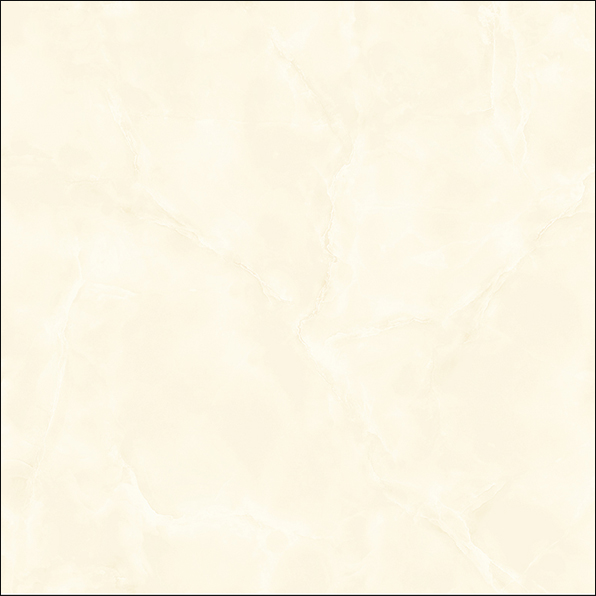 E5003