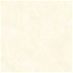 E5003