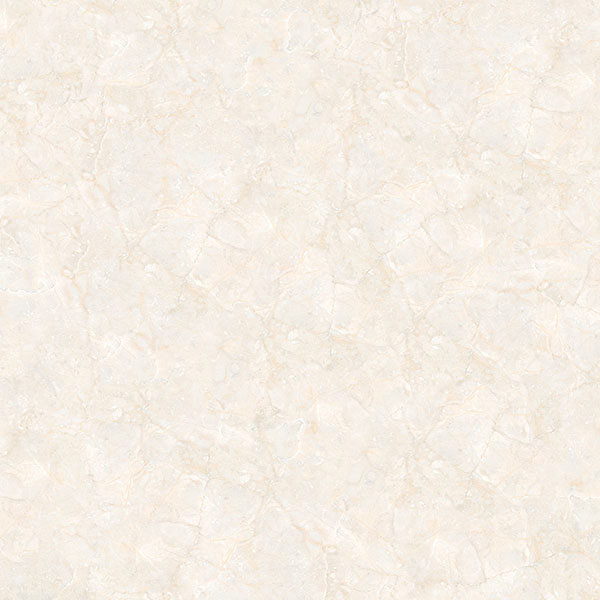 E5010