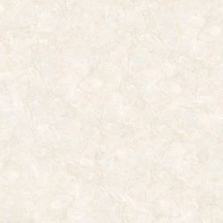 E5010