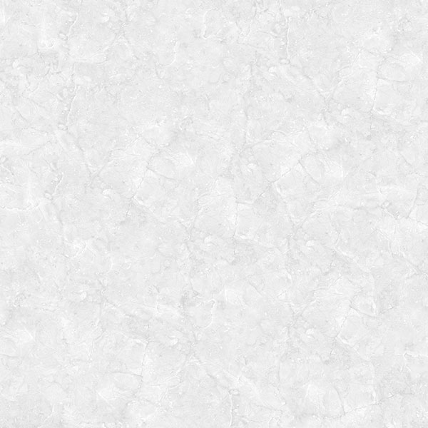 E5011