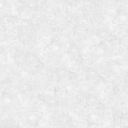 E5011