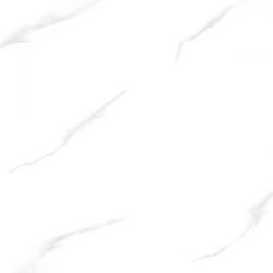 E5017