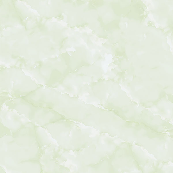E5019