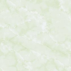 E5019