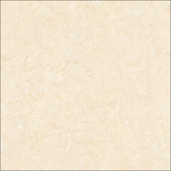E6005