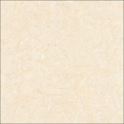 E6005