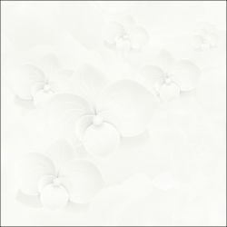 E6020