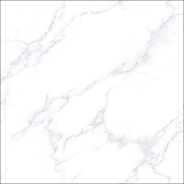 E8001