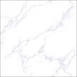 E8001