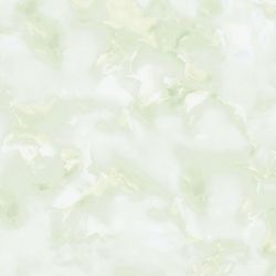 E8010-1