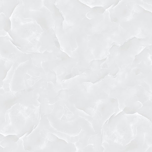 E8011