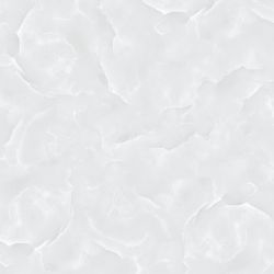 E8011