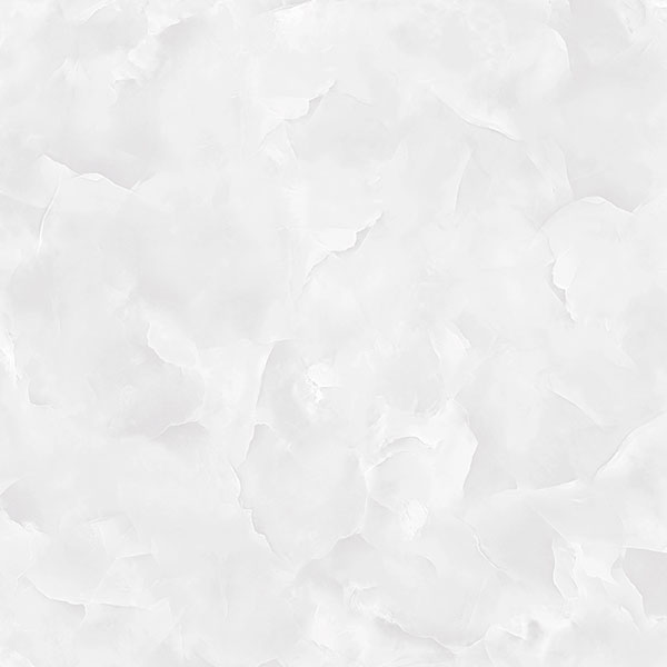 V5520