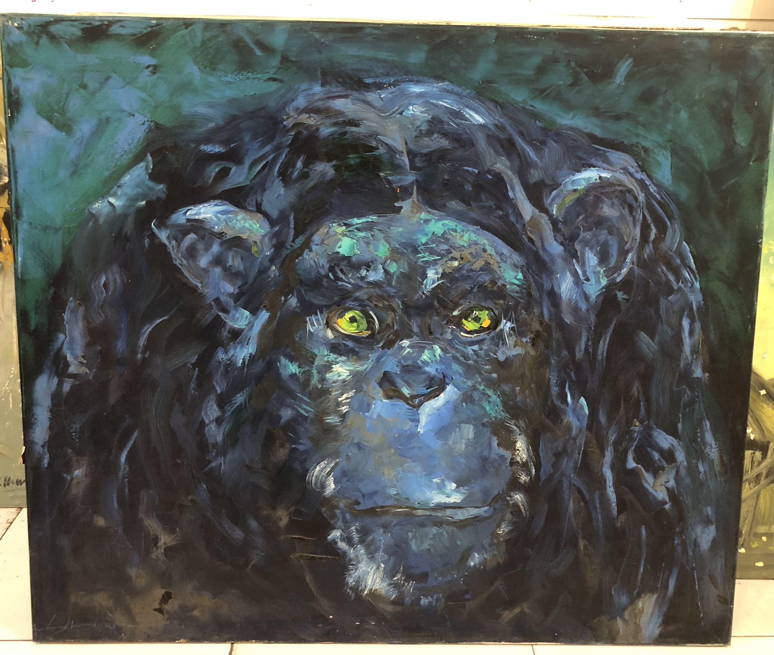 z5395901281162_bebbd1cb48a4310e0125518b8b626de6