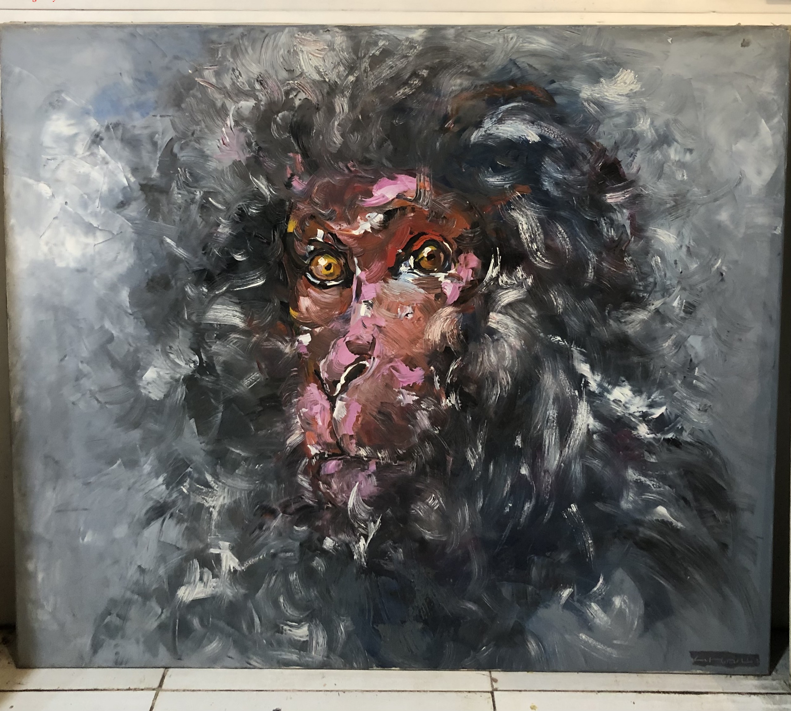 z5395901683447_de1500c2b733046787c2669398fb996b