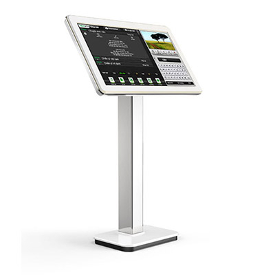 Màn hình VietKTV 21inch