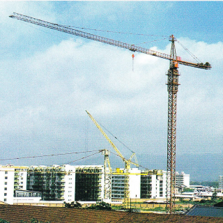 Cẩu tháp QTZ-6015