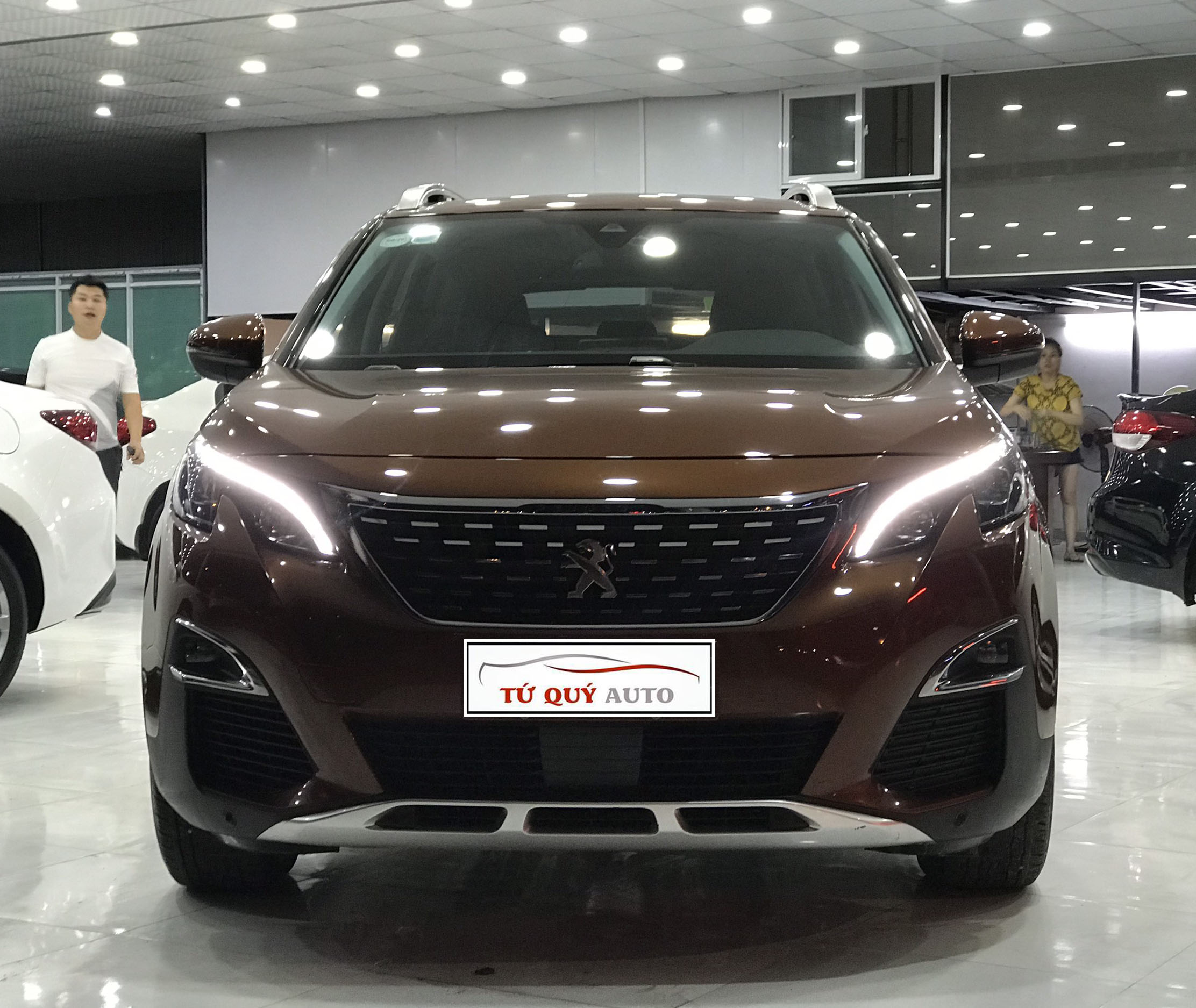 Xe Peugeot 3008 1.6AT 2018 - Nâu