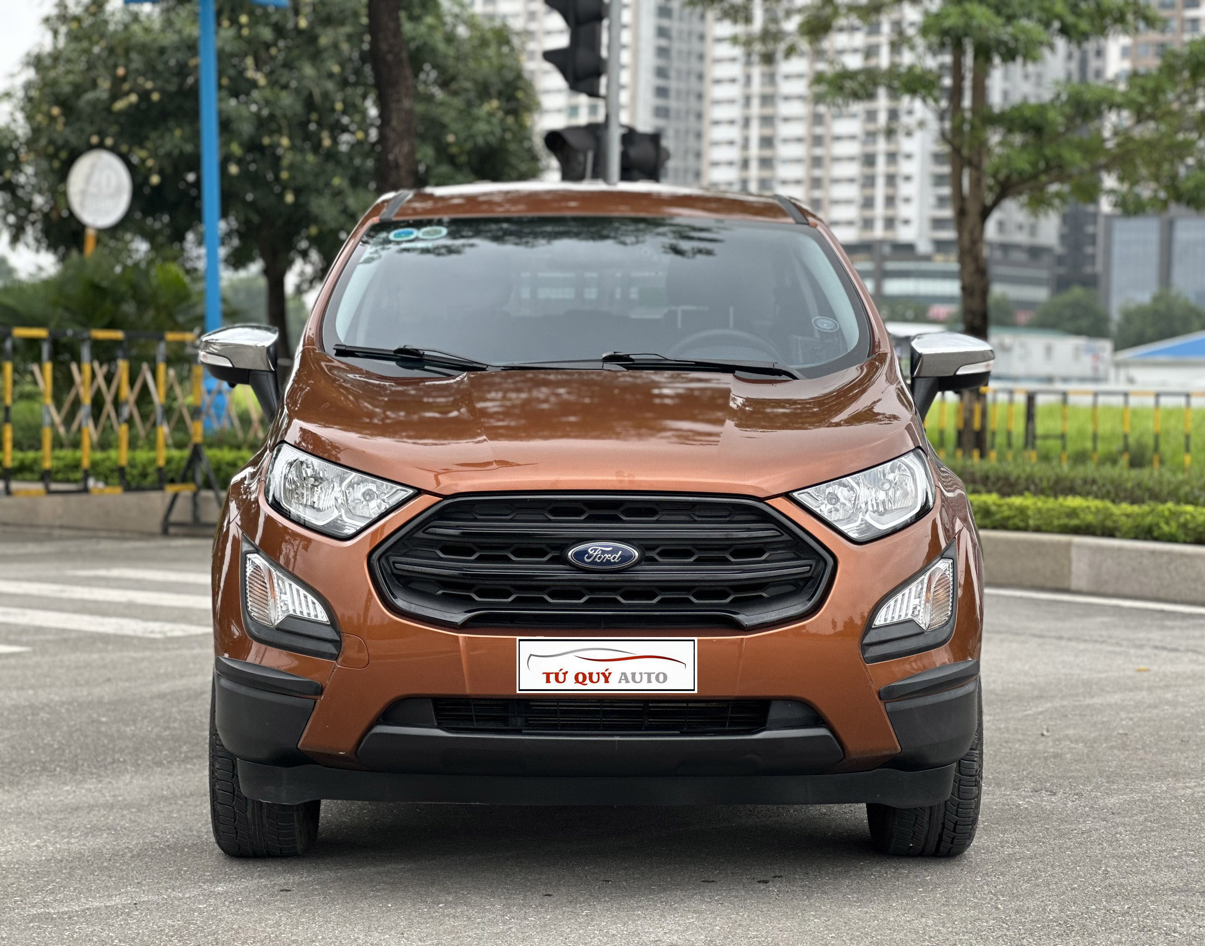 Xe Ford EcoSport 1.5AT 2018 - Nâu