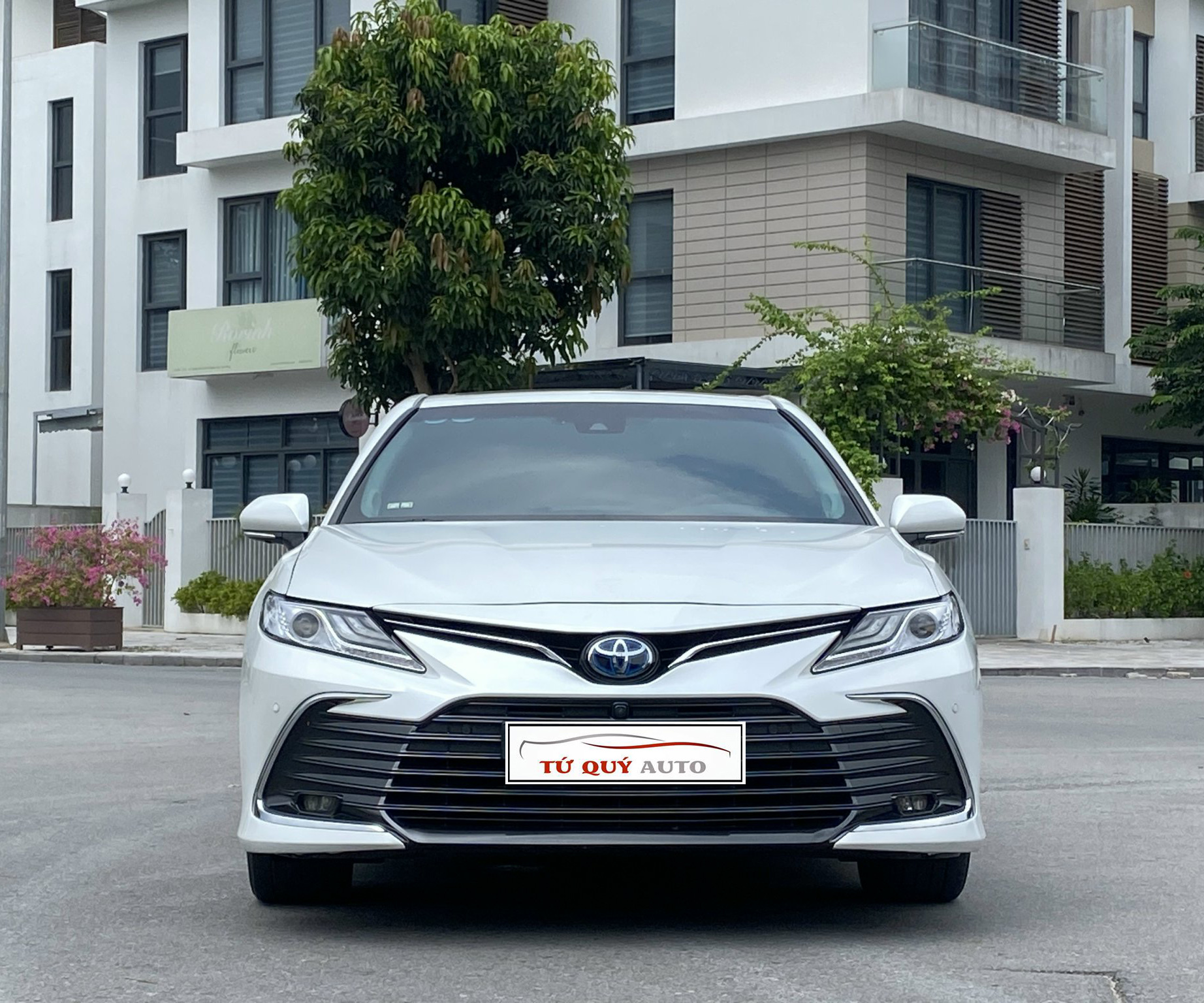 Xe Toyota Camry Hybrid 2.5HV 2022 - Trắng/Kem