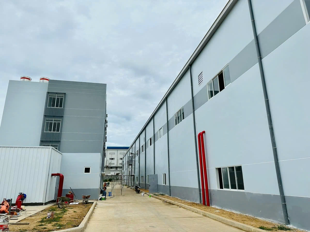 Thi công sơn tường, Sơn khẩu hiệu