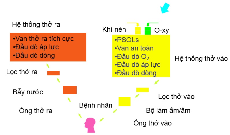 nguyên lý hoạt động và cấu tạo của máy thở
