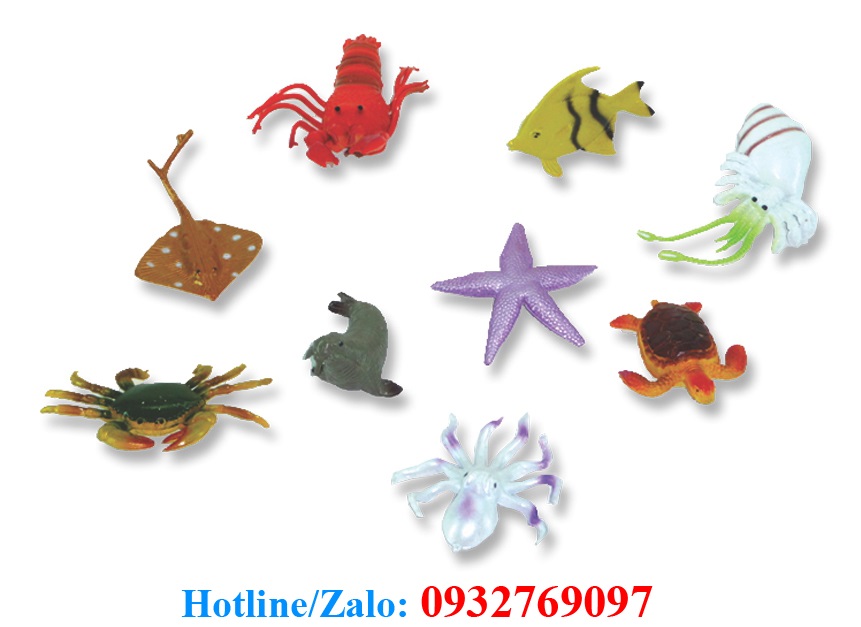 Động vật biển