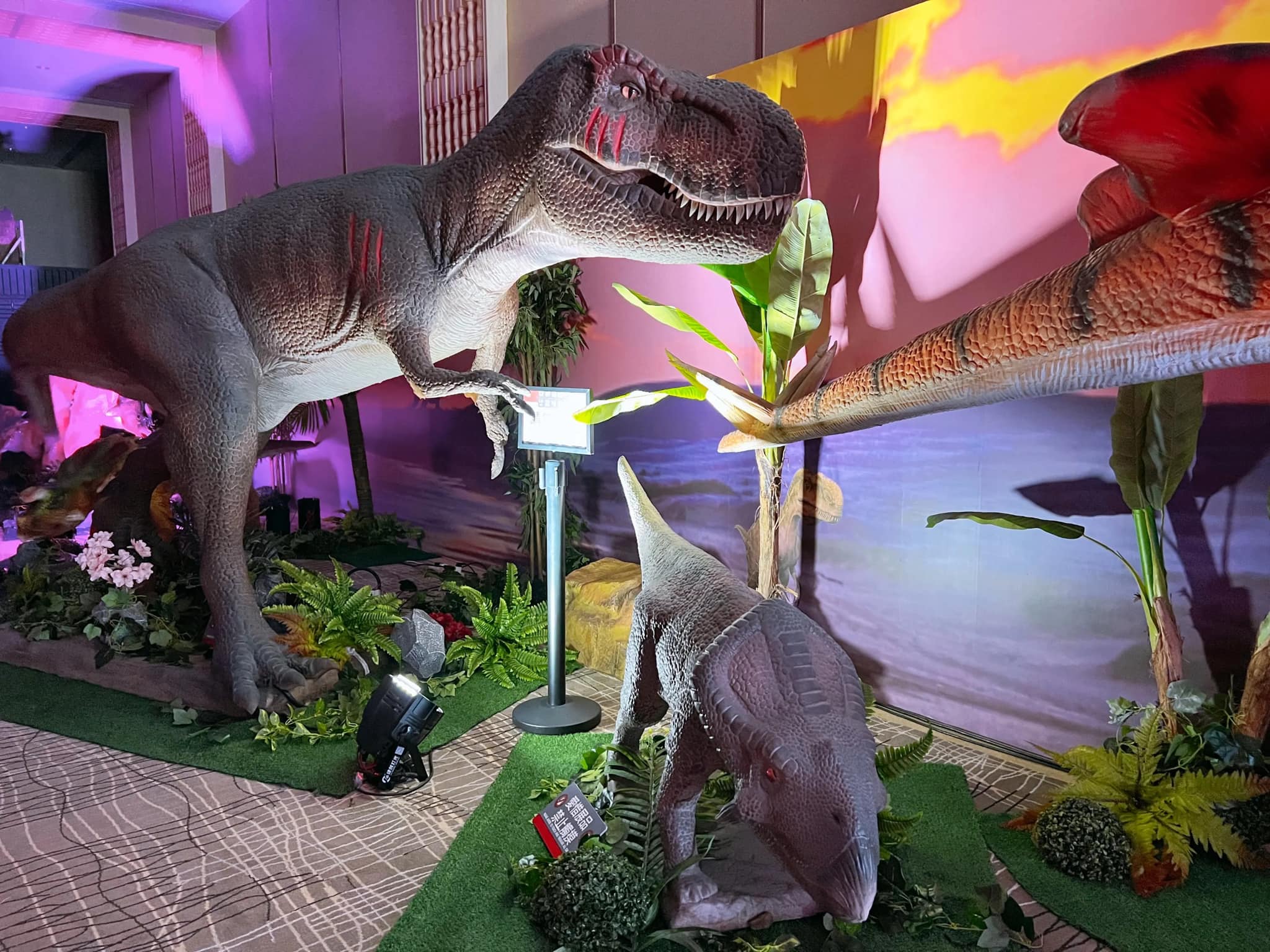 thi công khu vui chơi (1)