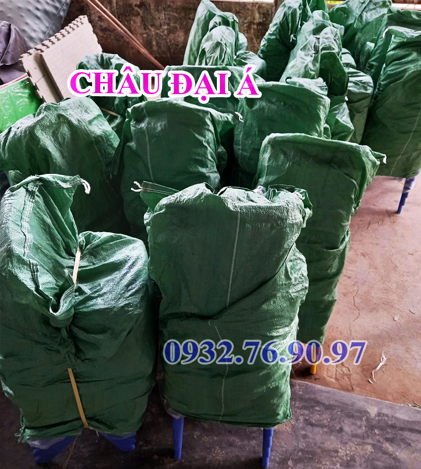 ghế nhựa đúc