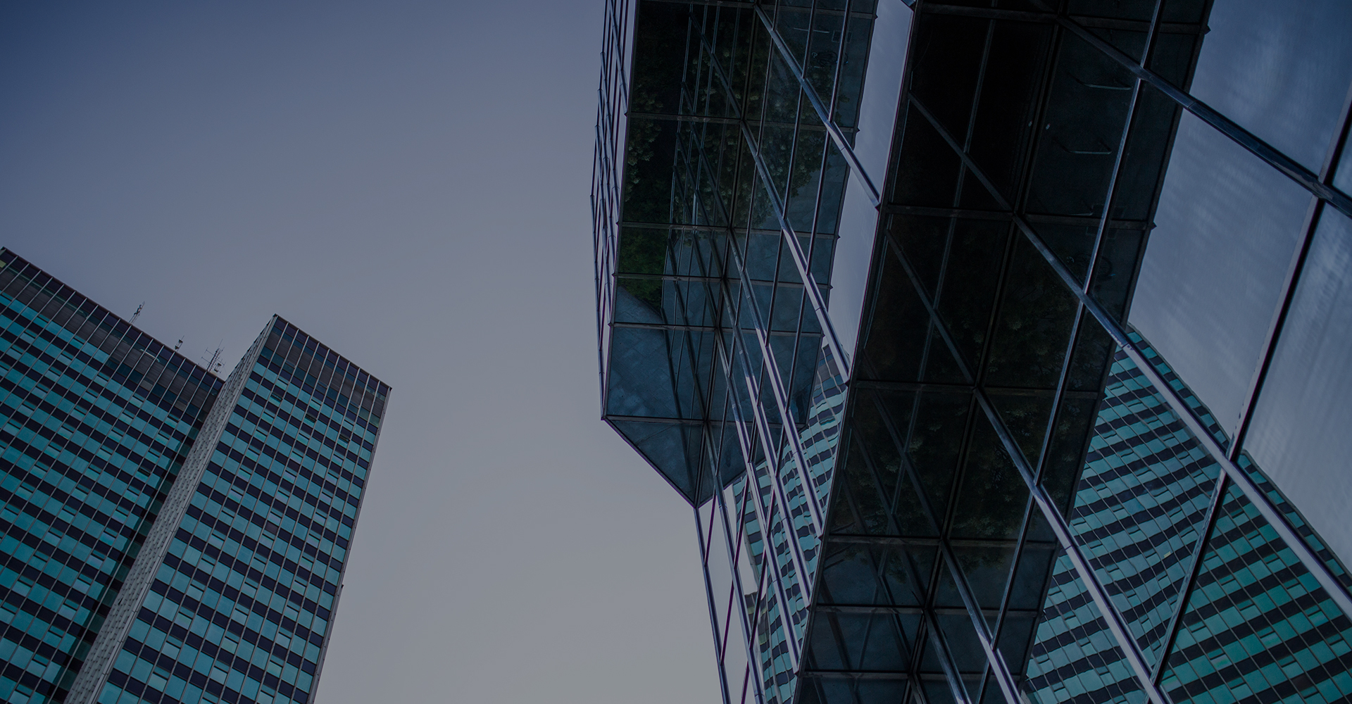 nhìn ra: thế giới