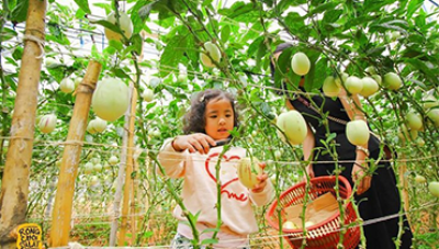 Ươm mầm tương lai