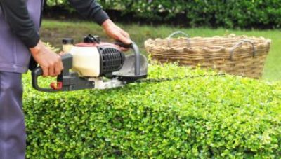 Chăm sóc cây xanh biệt thự