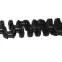 452533278crankshaft_1dz_13411-78201-71,_