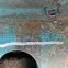 y0202071
