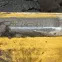 y0202115