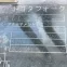 y0202038