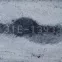 1365726_6