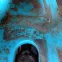 1367106_6