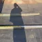 o0342028