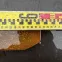 o0442049