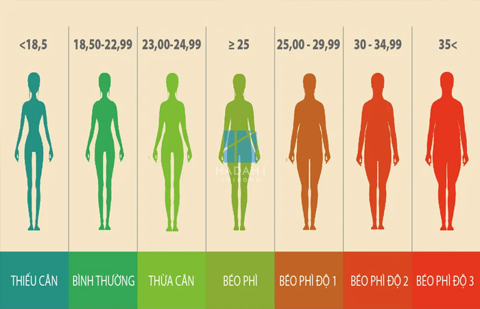 Thân hình như thế nào bị coi là béo?