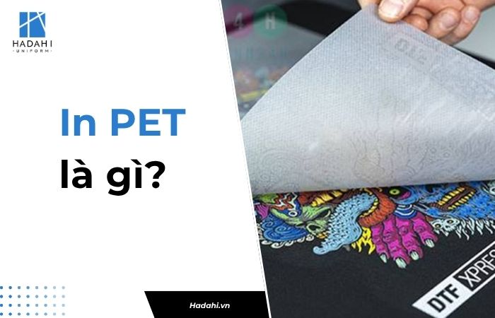 In PET là gì?