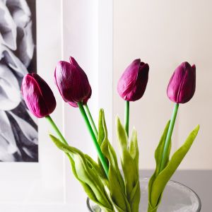 Hoa tulip đỏ