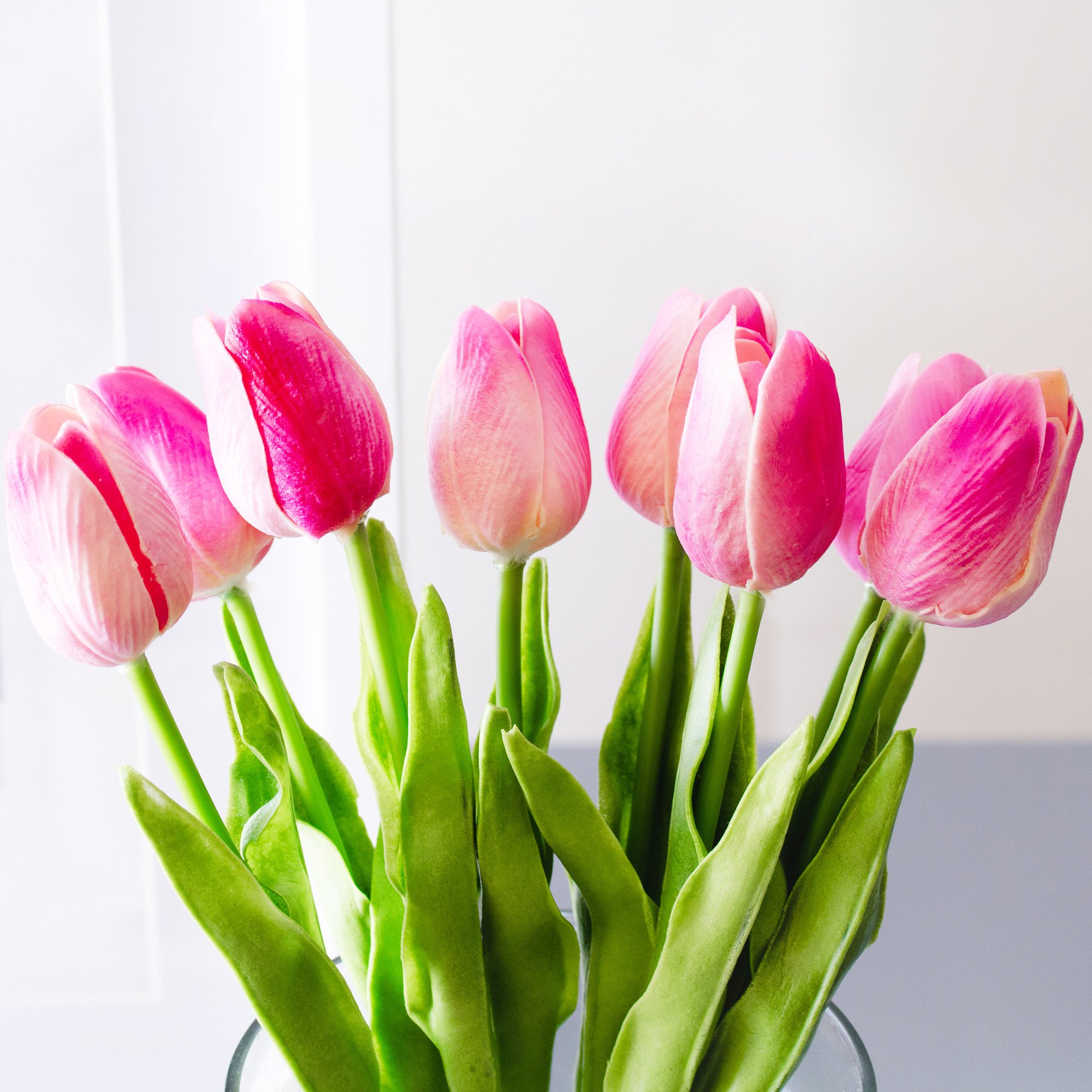 Tulip_hotpink1_copy