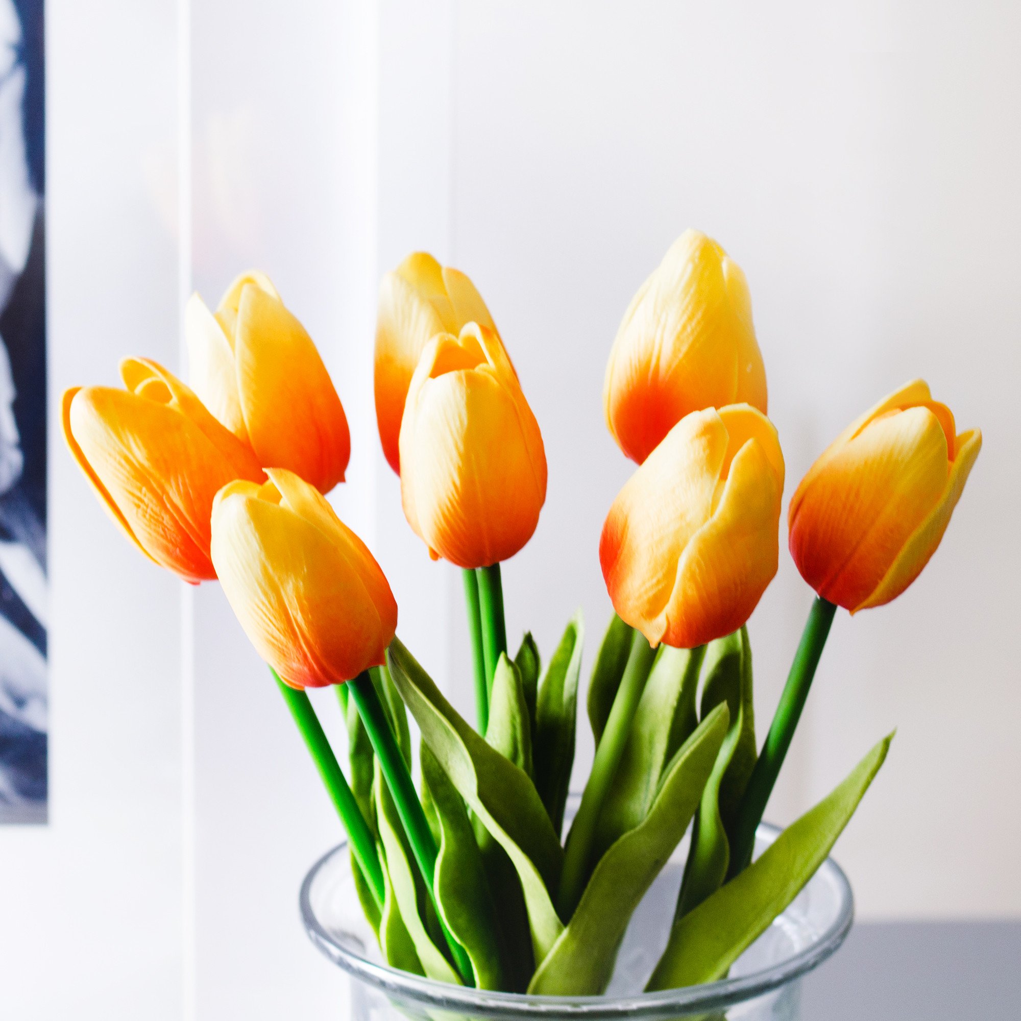tulips_orange
